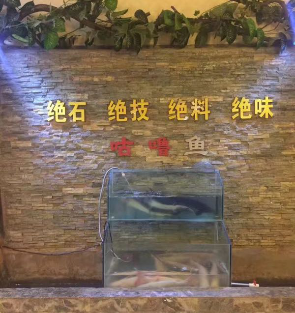 7石咕咕魚稷山店，六年老店特推出新品，愛吃就不容錯(cuò)過